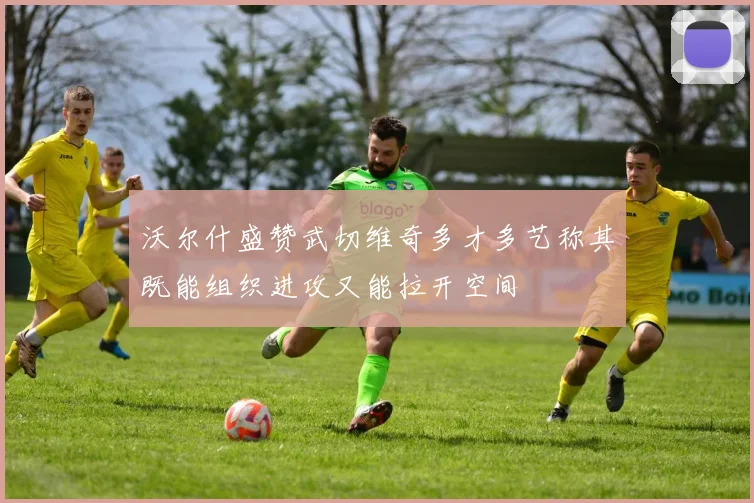 沃尔什盛赞武切维奇多才多艺称其既能组织进攻又能拉开空间