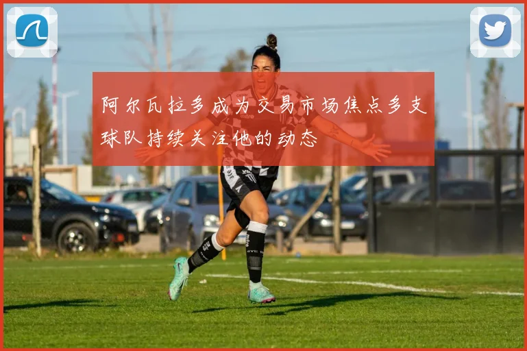 阿尔瓦拉多成为交易市场焦点多支球队持续关注他的动态