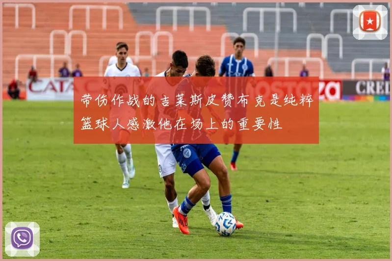 带伤作战的吉莱斯皮赞布克是纯粹篮球人感激他在场上的重要性