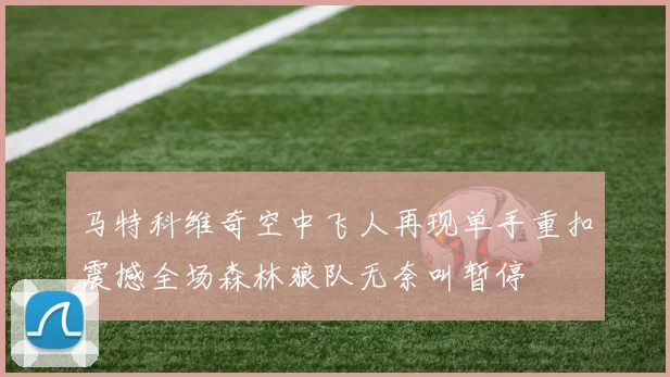 马特科维奇空中飞人再现单手重扣震撼全场森林狼队无奈叫暂停